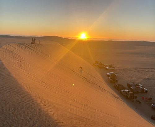 WhatsApp Image 2025-04-04 at 8.29.23 PM (2)