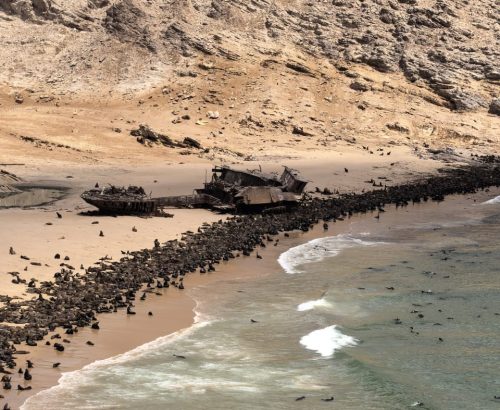 WhatsApp Image 2026-03-20 at 1.36.03 PM