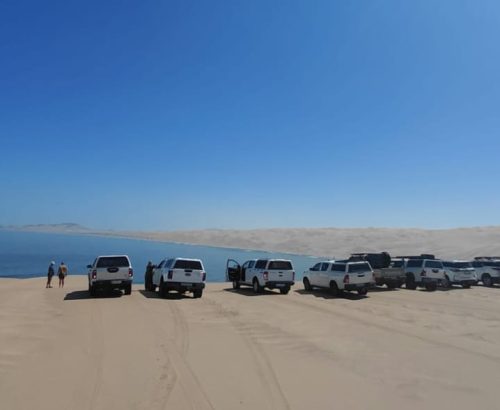 WhatsApp Image 2026-03-20 at 1.36.05 PM (1)