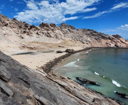 WhatsApp Image 2026-03-20 at 1.36.07 PM (4)