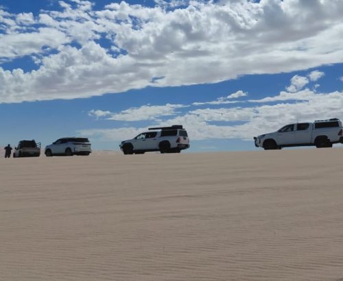 WhatsApp Image 2026-03-20 at 1.36.08 PM (1)