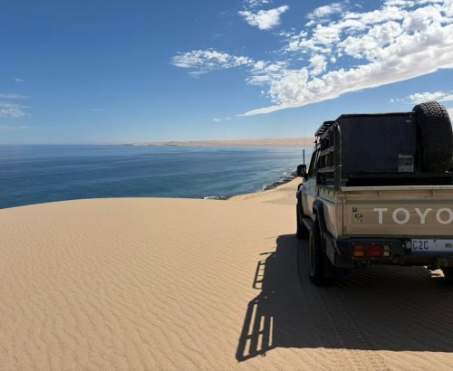 WhatsApp Image 2026-03-20 at 1.36.10 PM (1)