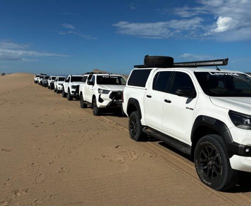 WhatsApp Image 2026-03-20 at 1.36.11 PM (2)