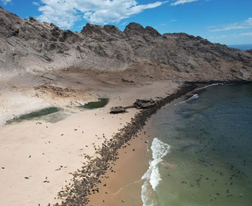 WhatsApp Image 2026-03-20 at 1.36.12 PM (2)